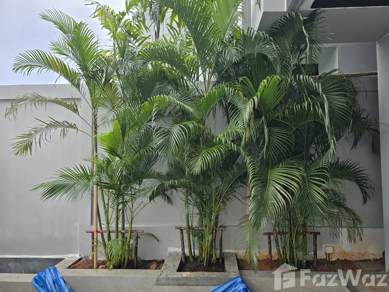picture Private Pool Villa – Cape Yamu, Phuket Last Unit 6187597 - 19/37