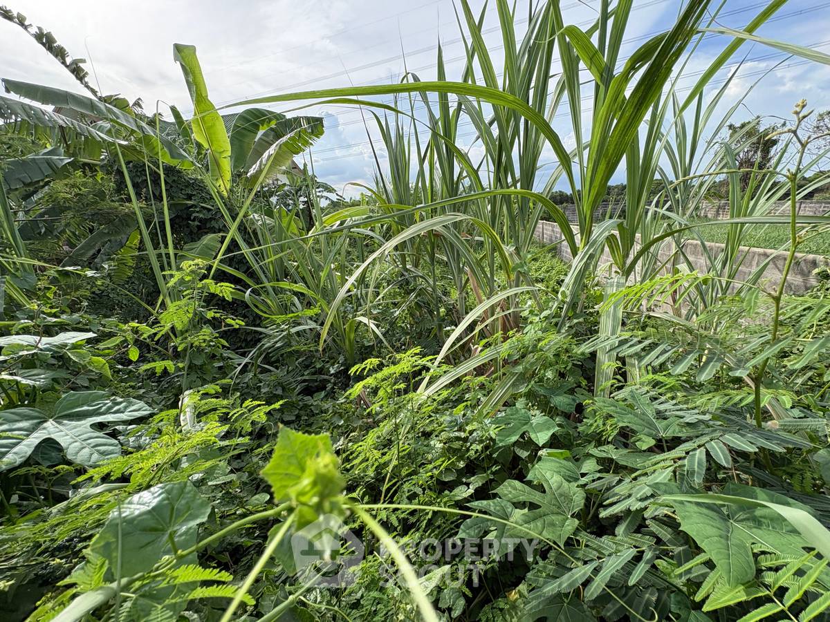 picture 604 m² Land for Sale in Lam Prathew (ID 2961265) - 2/6