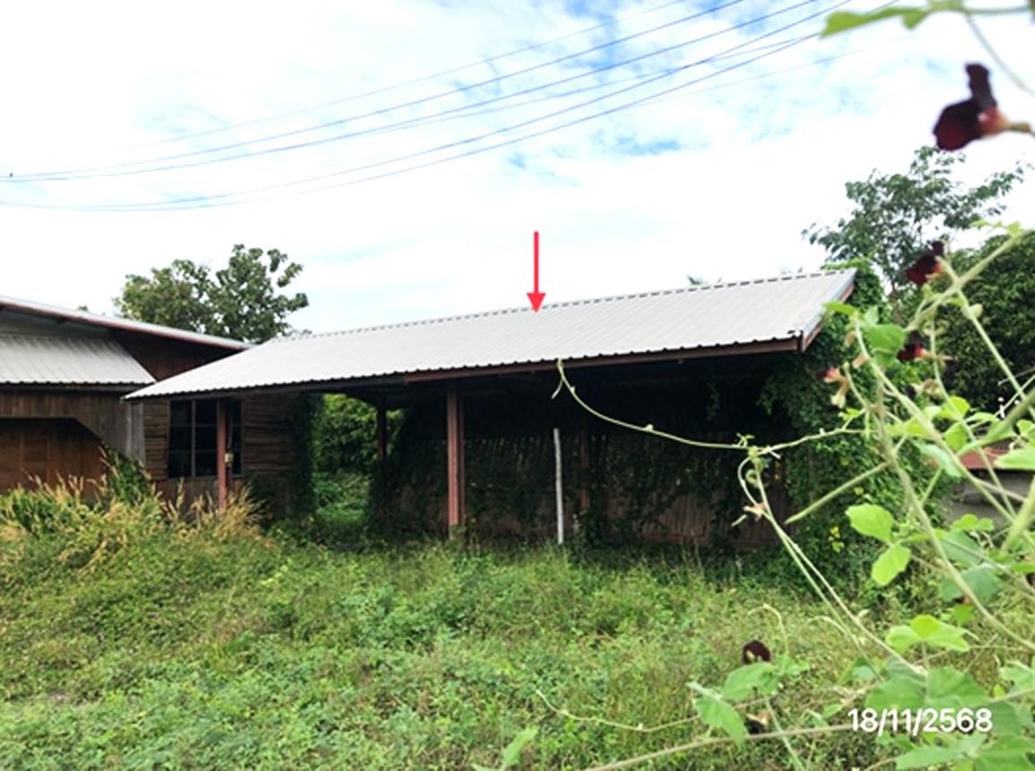 รูป บ้านเดี่ยว 1013.7 ตร.วา พรหมพิราม พิษณุโลก 4.9M - รูปที่ 15/24