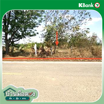 picture LAND 3611.5 Sq.w. Non Sang Nong Bua Lam Phu for 2.7M - 14/16