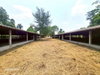 listing thumbnail image 32