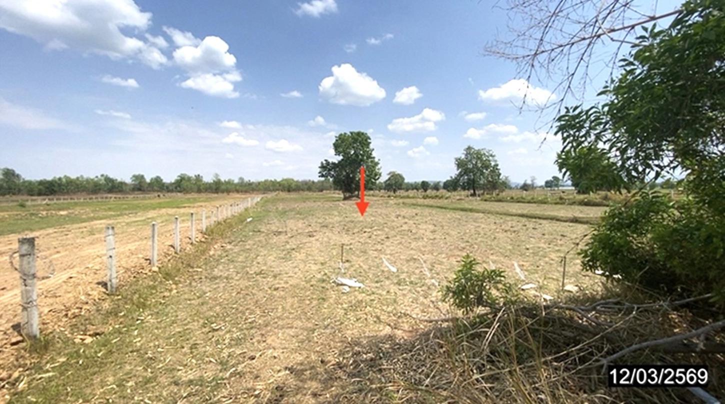 picture LAND 3611.5 Sq.w. Non Sang Nong Bua Lam Phu for 2.7M - 9/16
