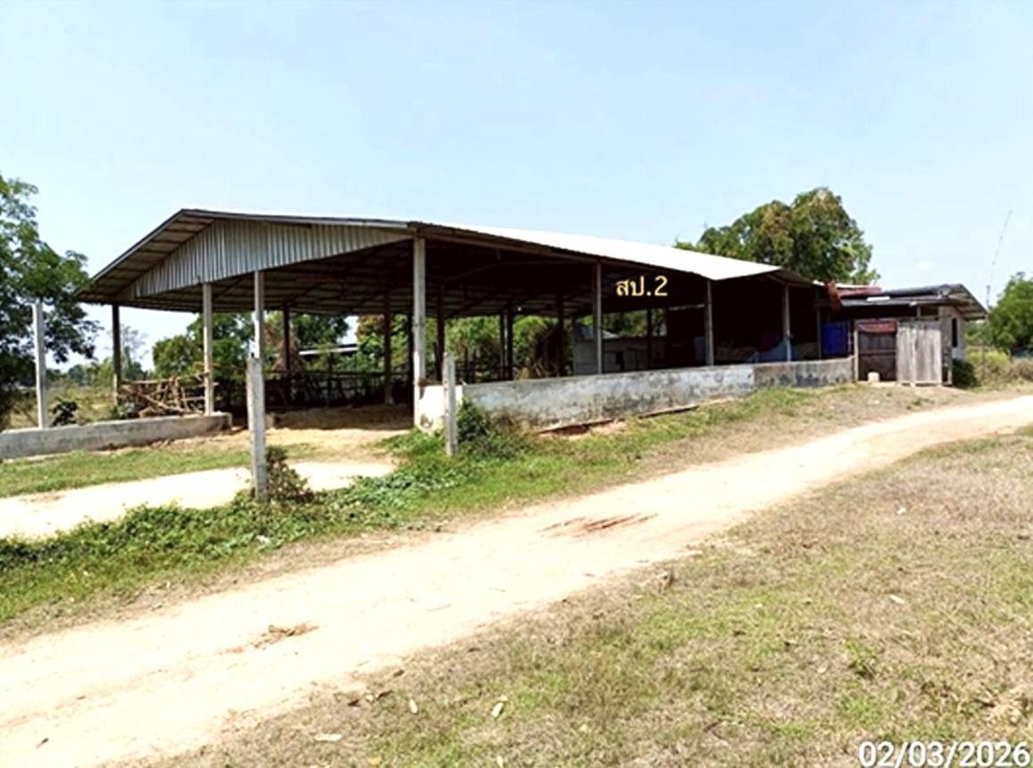 รูป บ้านเดี่ยว 4000 ตร.วา เมืองมหาสารคาม มหาสารคาม 7M - รูปที่ 9/18