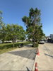 listing thumbnail image 14