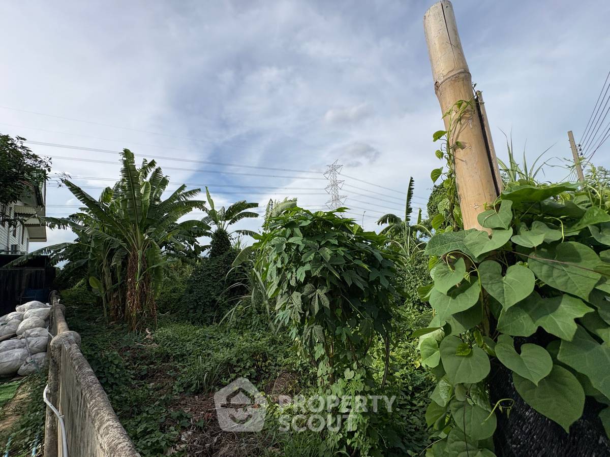 picture 604 m² Land for Sale in Lam Prathew (ID 2961265) - 3/6