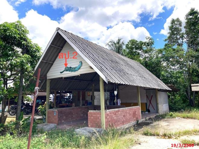 รูป บ้านเดี่ยว 116 ตร.วา ท่าชนะ สุราษฎร์ธานี 2.8M - รูปที่ 3/30
