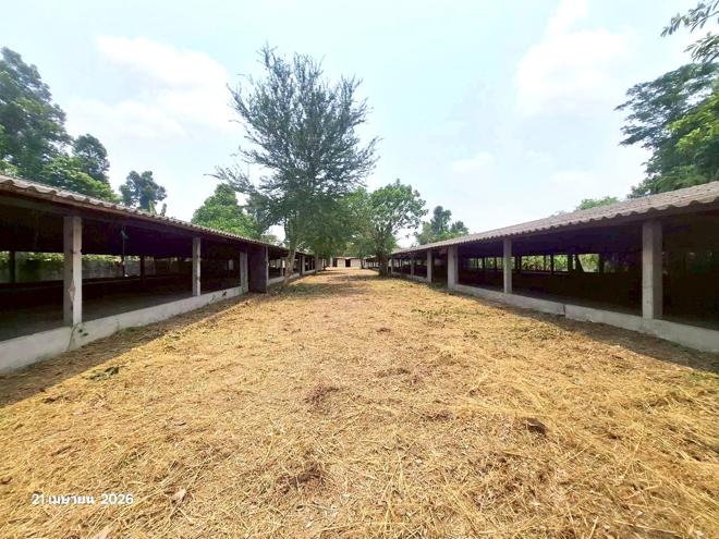 picture HOME 1275 Sq.w. Lat Yao Nakhon Sawan for 3.7M - 12/46