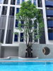 listing thumbnail image 10