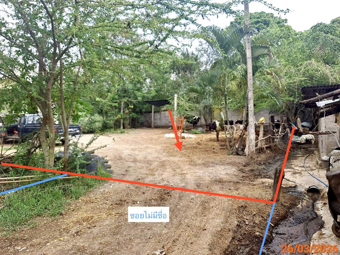 รูป บ้านเดี่ยว 163 ตร.วา ปากช่อง นครราชสีมา 2.7M - รูปที่ 8/14