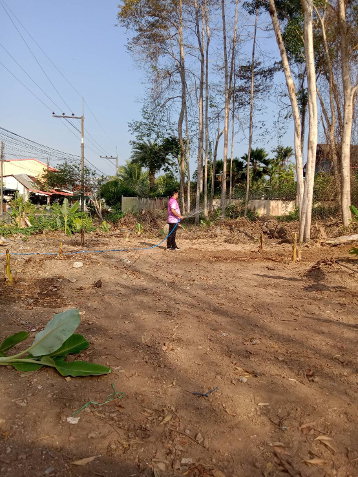 รูป กันตัง ตรัง ขายที่ดินติดถนนในเมือง - รูปที่ 4/7