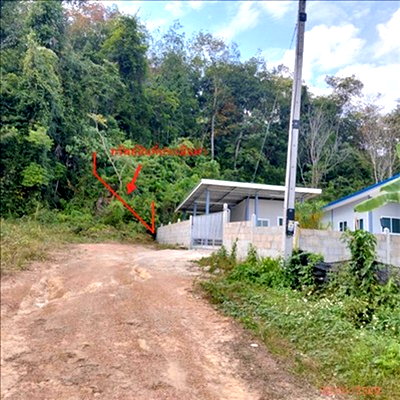 ที่ดิน เมืองกระบี่ กระบี่ : ที่ดินว่างเปล่า 105.6 ตร.วา เมืองกระบี่ กระบี่ 1.3M