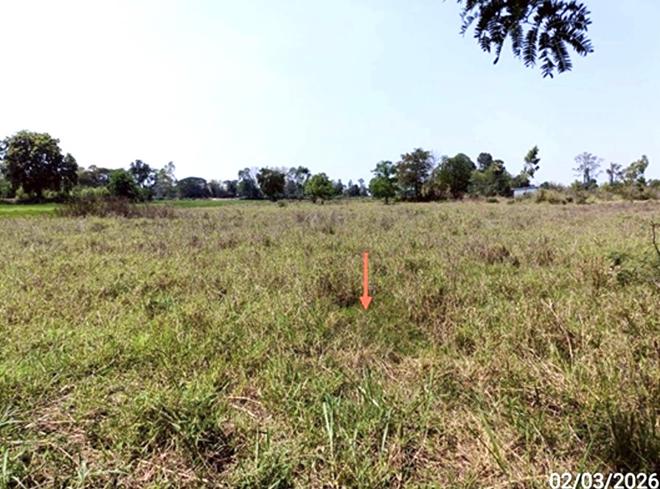 รูป บ้านเดี่ยว 4000 ตร.วา เมืองมหาสารคาม มหาสารคาม 7M - รูปที่ 4/18