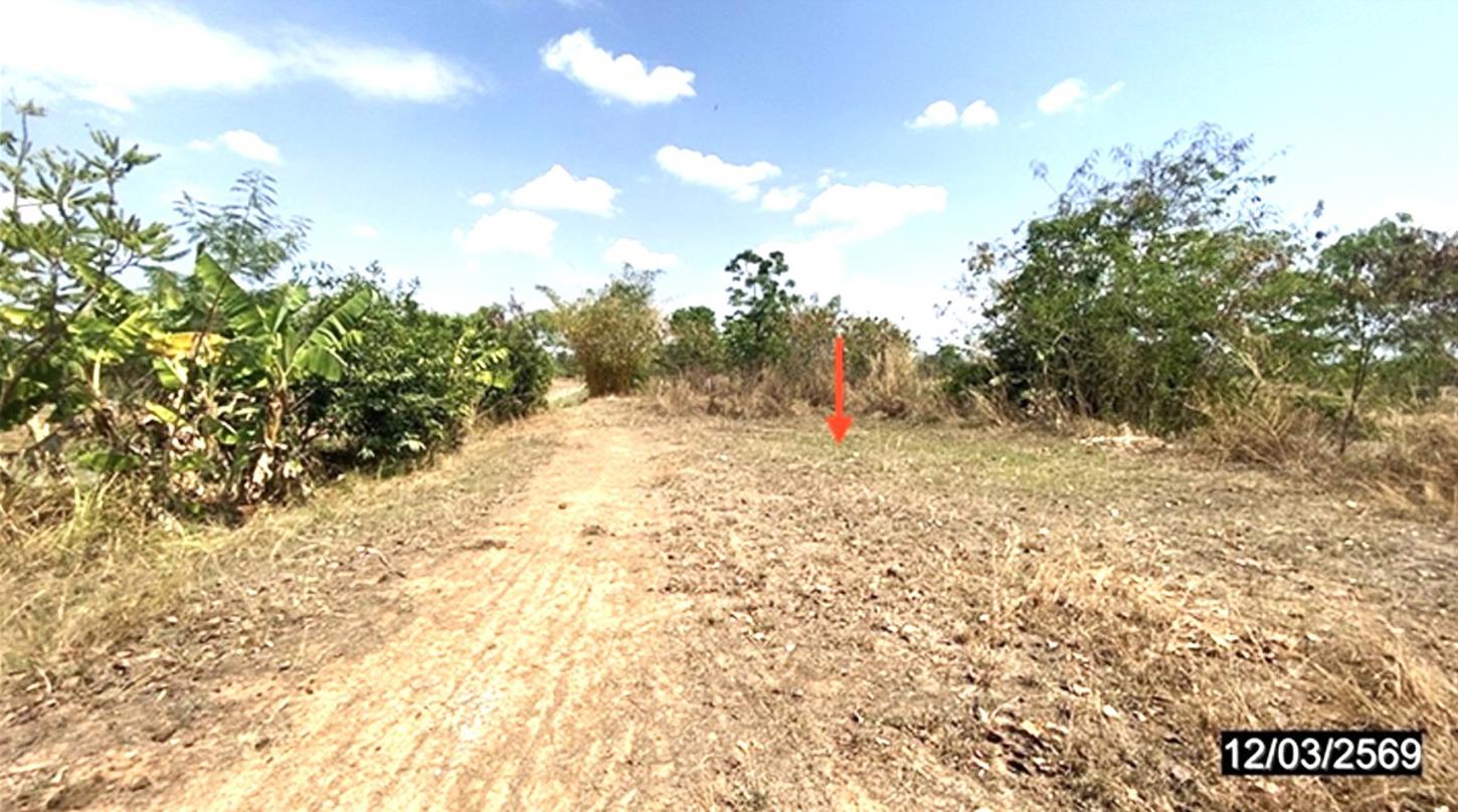 picture LAND 3611.5 Sq.w. Non Sang Nong Bua Lam Phu for 2.7M - 8/16