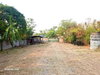 listing thumbnail image 24