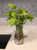 listing thumbnail image 26