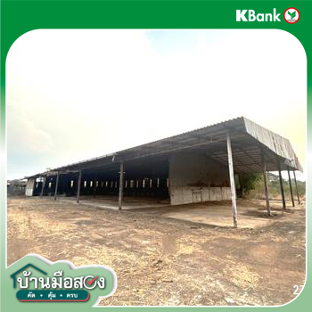 picture FACTORY 14145 Sq.w. Nam Khun Ubon Ratchathani for 14.3M - 60/62