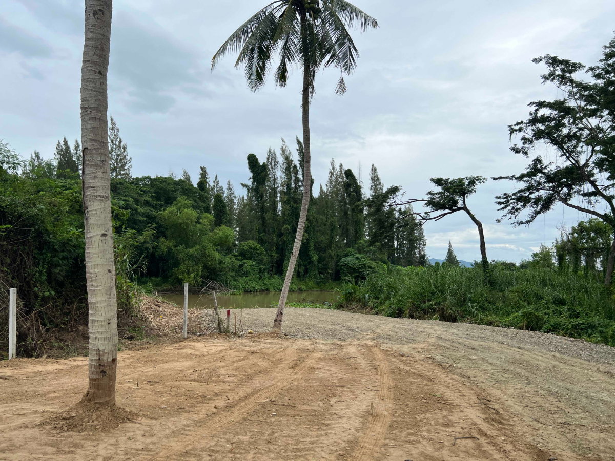 picture Prime Land for Sale in Tha Yang – Ready for Development! Size: 3-2-22 Rai - 9/12