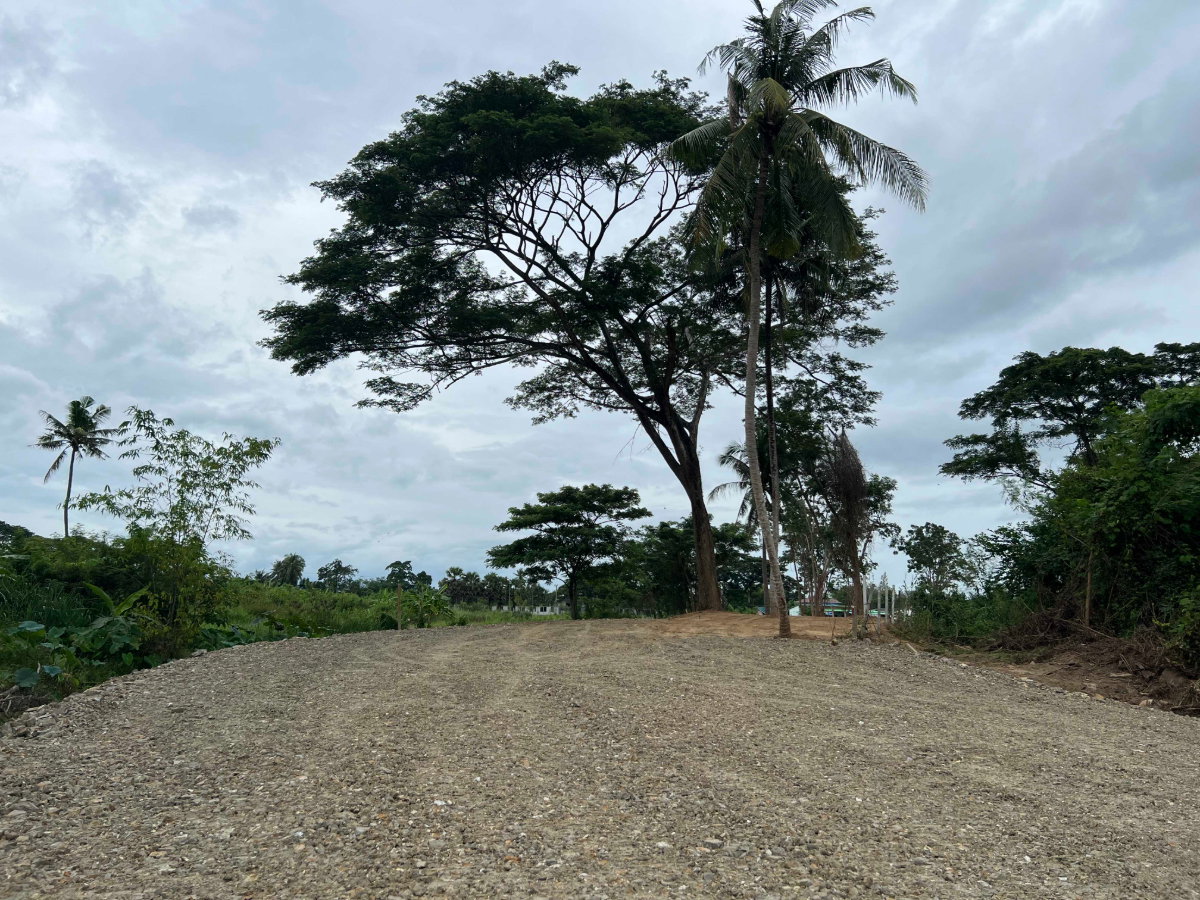 picture Prime Land for Sale in Tha Yang – Ready for Development! Size: 3-2-22 Rai - 7/12