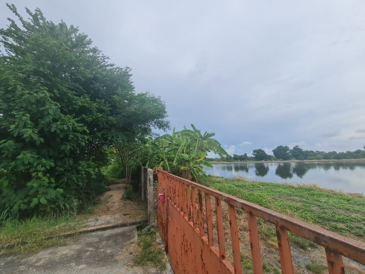 picture Land for Sale – Rare Dual-Waterfront Plot! 💥 🔥 Very Cheap! 131.9 sq.wah - 5/10