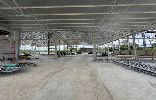 รูป ให้ เช่าโรงงาน สร้างใหม่ เนื้อที่ 4 ไร่ 3,000 ตรม. ผังม่วงลาย ใกล้ นิคม Gateway ฉะเชิงเทรา - รูปที่ 5/8