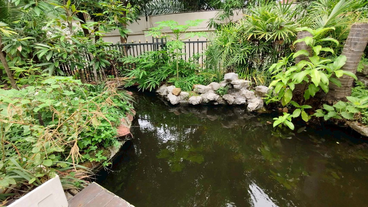 รูป บ้านเดี่ยวหรู 2 ชั้น ลัดดาวัลย์ 🌿 Land 252.9 ตร.ว.  - รูปที่ 6/13