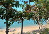 listing thumbnail image 18