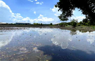 Land for sale Muang Chachoengsao Chachoengsao : Urgent sale! Large plot of land with high potential, totaling 86 rai, 2 ngan, 13 square wah.