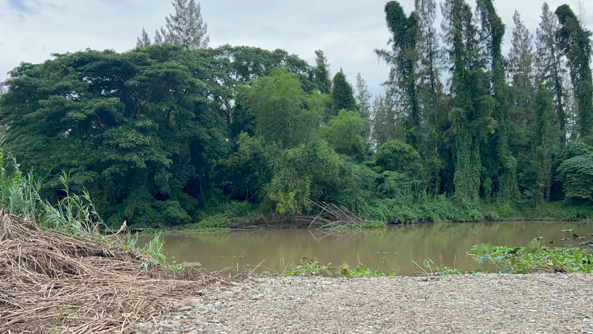 picture Prime Land for Sale in Tha Yang – Ready for Development! Size: 3-2-22 Rai - 6/12