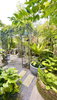 listing thumbnail image 14