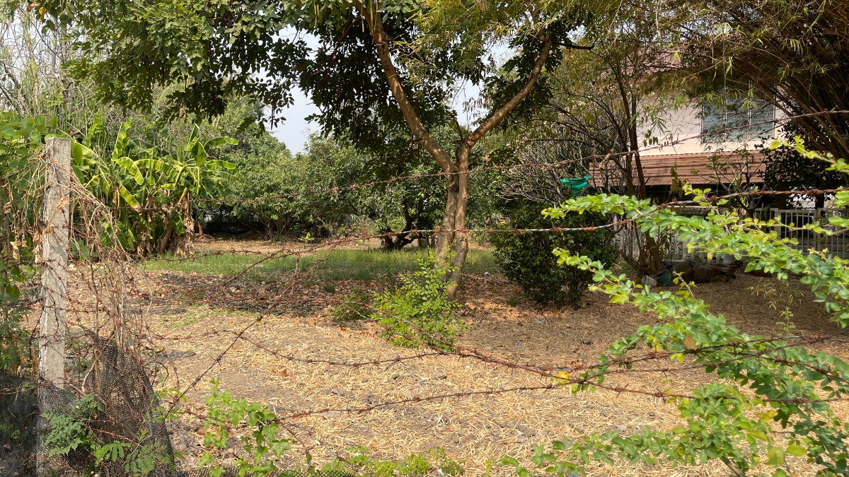 รูป ขายที่ดินเปล่าแปลงมุม 336 ตร.ว. ลาดพร้าว 87 แยก 18 ทำเลพรีเมียม ใกล้ Central Eastville - รูปที่ 4/7