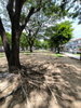 listing thumbnail image 12