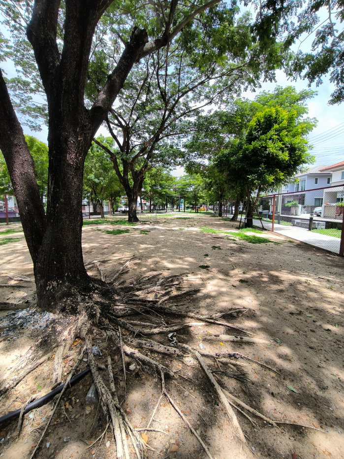 รูป ให้เช่าบ้านเดี่ยว ม.บ้านคาซ่าวิลล์ บางนา-เทพารักษ์ พร้อมเข้าอยู่ เฟอร์บางส่วน เนื้อที่ 60 ตรว. - รูปที่ 13/32