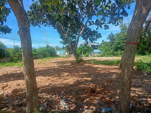 รูป ที่ดินเปล่า ปากน้ำปราณ ใกล้ทะเลปราณบุรี รหัสแฟ้ม67-00335 หรือ 31257-0001 ติดต่อคุณสุชาติ - รูปที่ 3/11