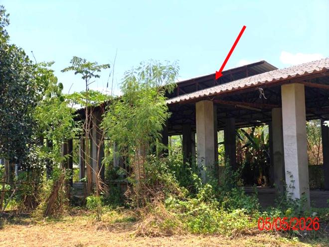รูป บ้านเดี่ยว 556 ตร.วา ป่าซาง ลำพูน 1.7M - รูปที่ 10/32