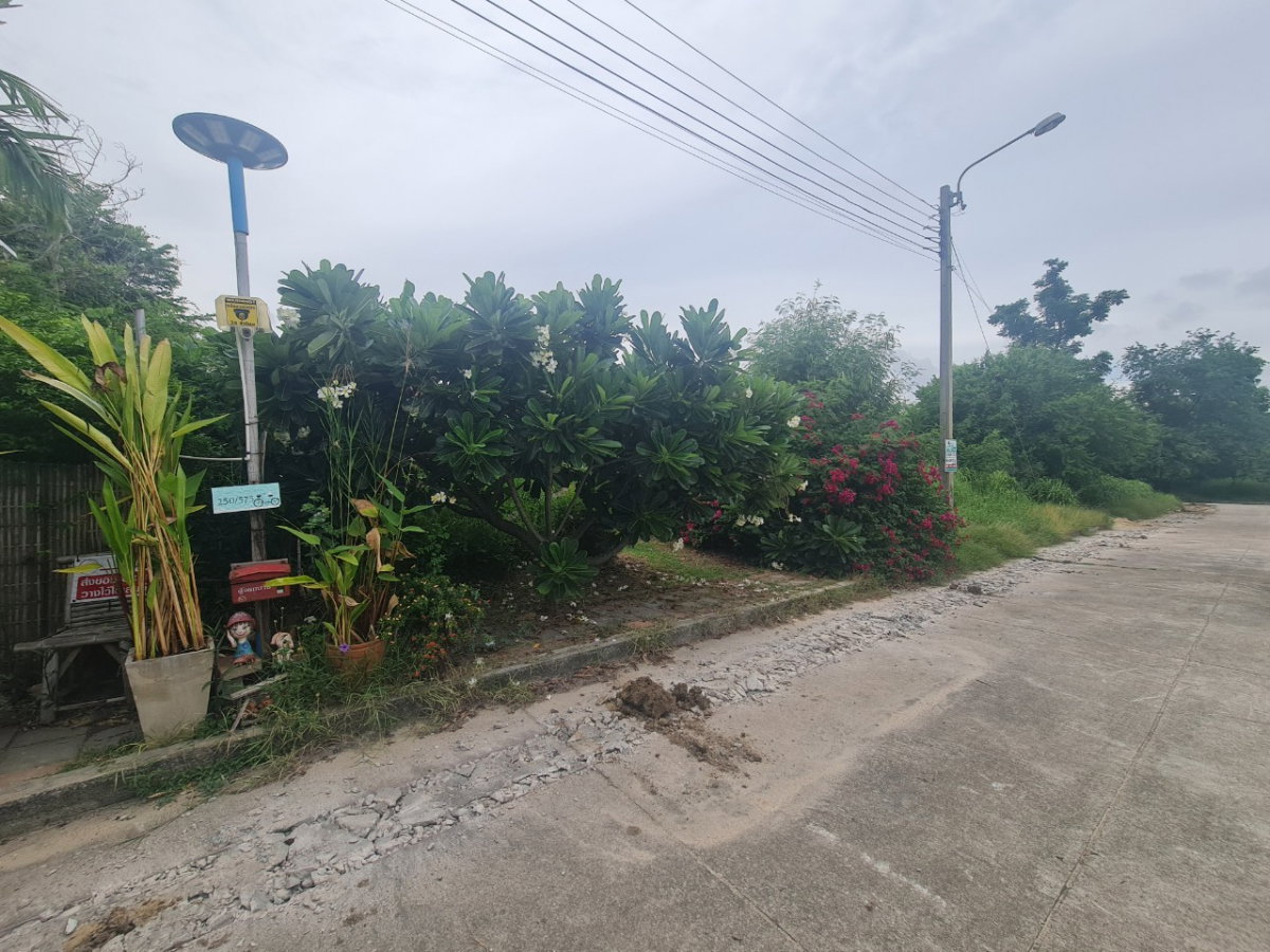 picture Land for Sale – Rare Dual-Waterfront Plot! 💥 🔥 Very Cheap! 131.9 sq.wah - 8/10
