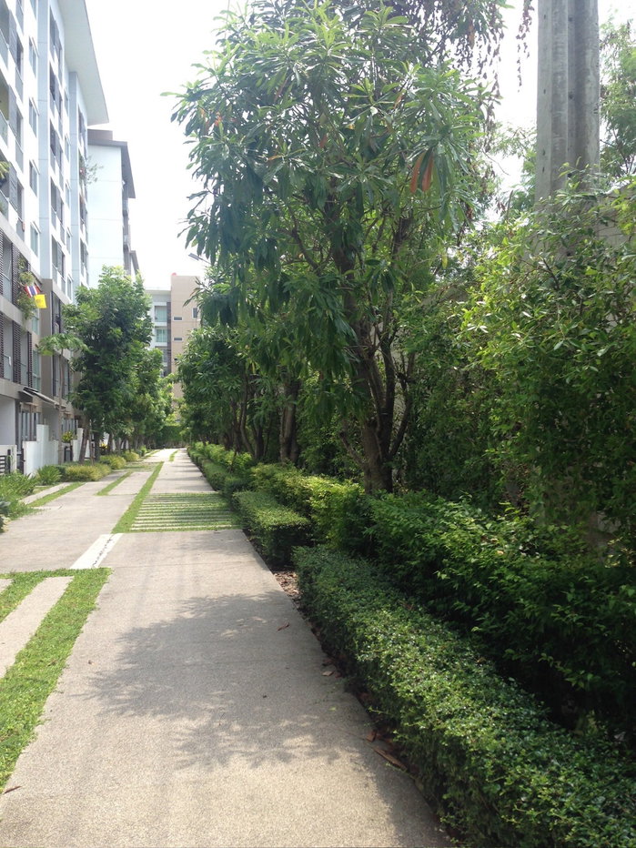 รูป ND0759  ✨ให้เช่าคอนโด A Space   Sukhumvit 77✨ - รูปที่ 12/13