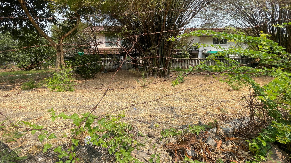 รูป ขายที่ดินเปล่าแปลงมุม 336 ตร.ว. ลาดพร้าว 87 แยก 18 ทำเลพรีเมียม ใกล้ Central Eastville - รูปที่ 5/7