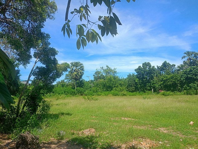 รูป ที่ดินเปล่า ปากน้ำปราณ ใกล้ทะเลปราณบุรี รหัสแฟ้ม67-00335 หรือ 31257-0001 ติดต่อคุณสุชาติ - รูปที่ 6/11
