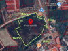 listing thumbnail image 4