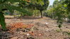 listing thumbnail image 6