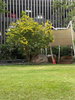 listing thumbnail image 11