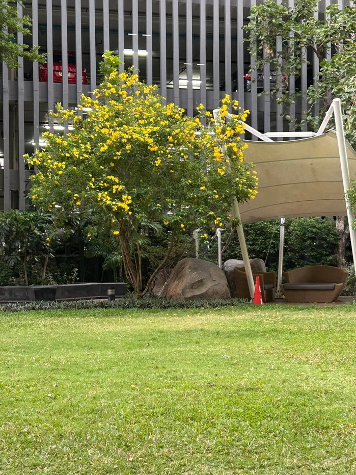 picture 13,500 Ideo Mobi Sukhumvit 81 BTS Onnut 30 m Contact Line:katk03 - 12/13