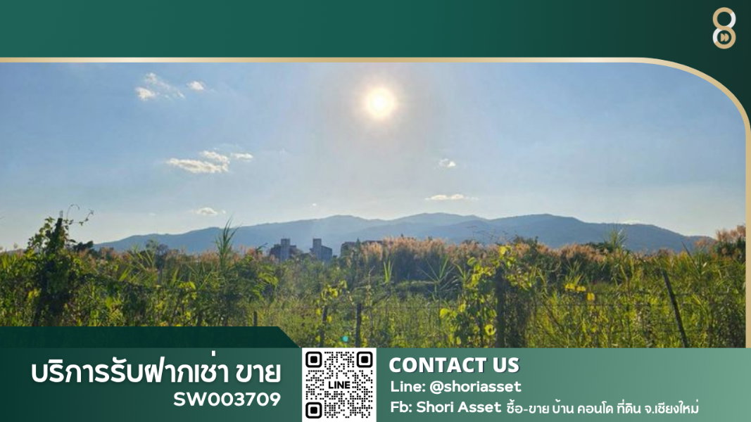 รูป ขายที่ดินผืนใหญ่ วิวดอยสุเทพ! ทำเลทอง ต.ช้างเผือก ถ.โชตนา ราคาถูกที่สุดในย่านนี้ เดินทางสะดวก เชื่อมต่อถนนโชตนา -SW003709 - รูปที่ 1/4