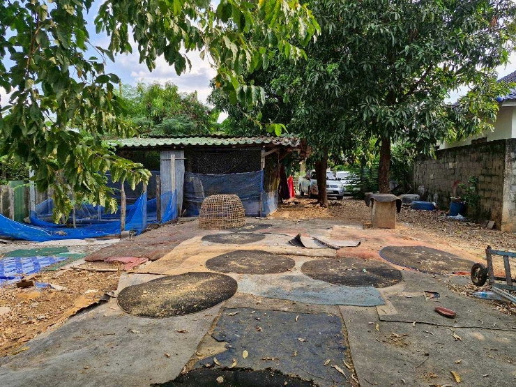 รูป ที่ดิเปล่า  รามอินทรา ซอย27  ทำเลดีมาก นัดชมแปลงที่ดิน  085-318-6868​คุณวา - รูปที่ 12/16