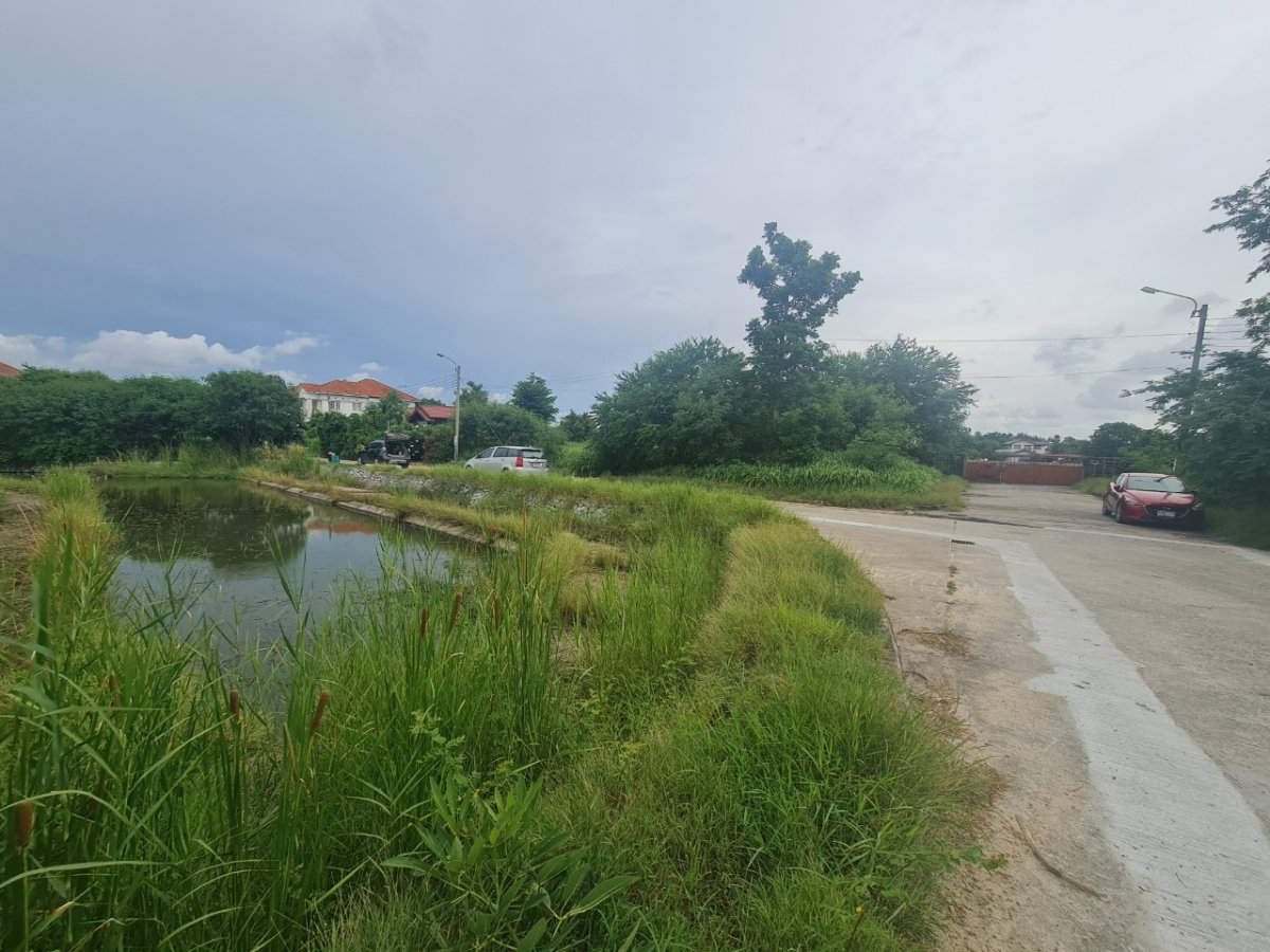 picture Land for Sale – Rare Dual-Waterfront Plot! 💥 🔥 Very Cheap! 131.9 sq.wah - 6/10