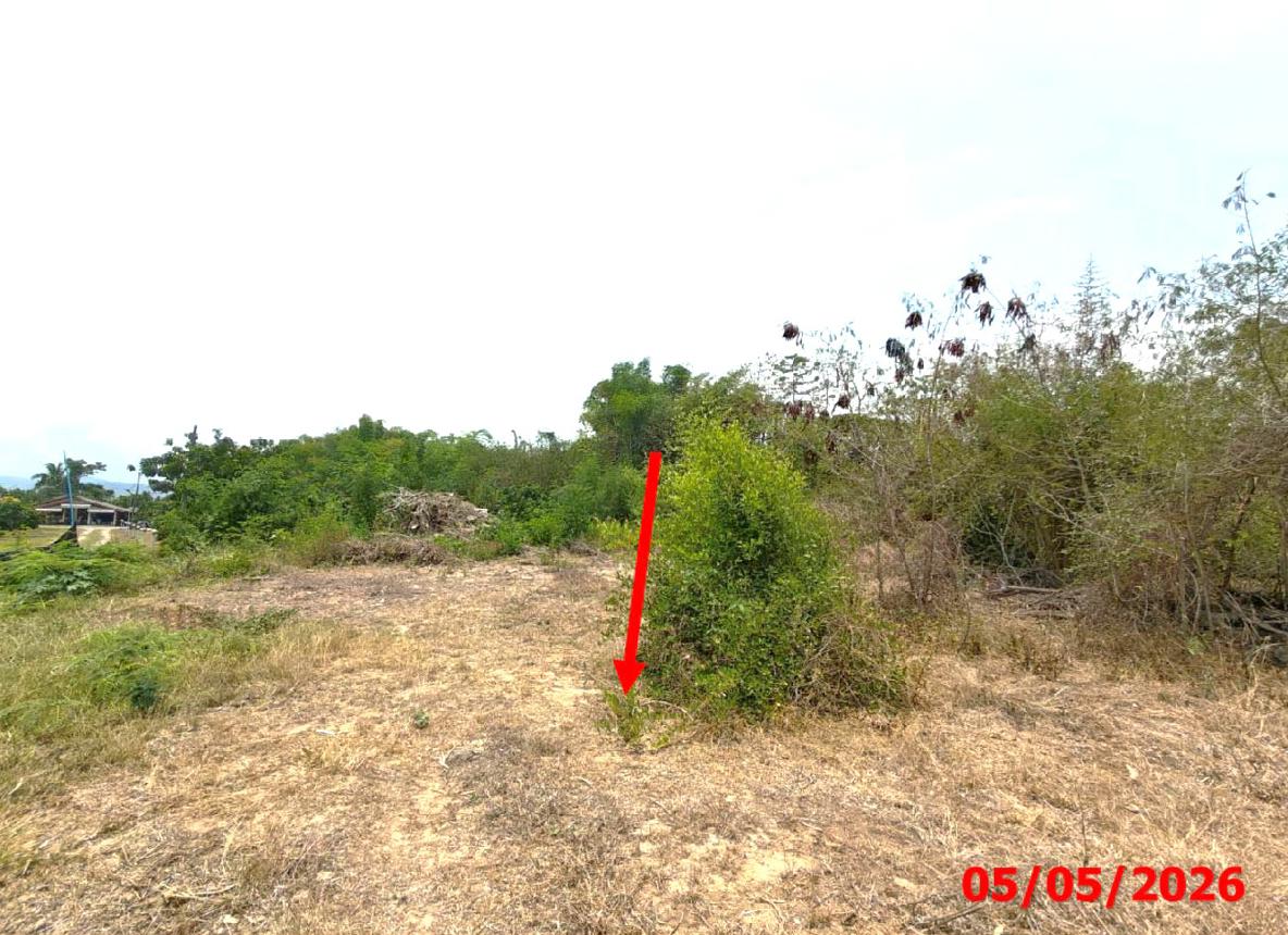 รูป ที่ดินว่างเปล่า 499 ตร.วา แม่ทะ ลำปาง 914,000 - รูปที่ 9/18