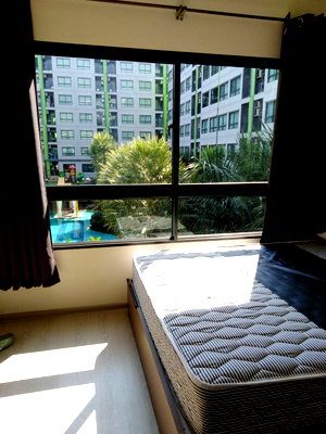 คอนโดให้เช่า : ให้เช่า Grene Condo ดอนเมือง–สรงประภา | ห้องมุม วิวสระน้ำ พื้นที่ 34 ตร.ม.