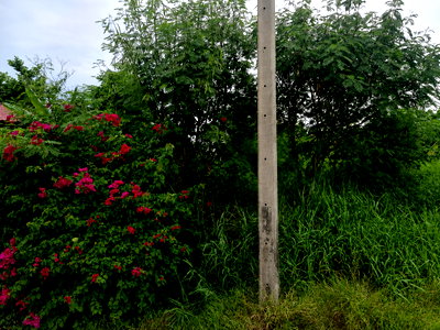 Land for sale Chakri Naruebodindra Medical Institute : Land for Sale – Rare Dual-Waterfront Plot! 💥 🔥 Very Cheap! 131.9 sq.wah