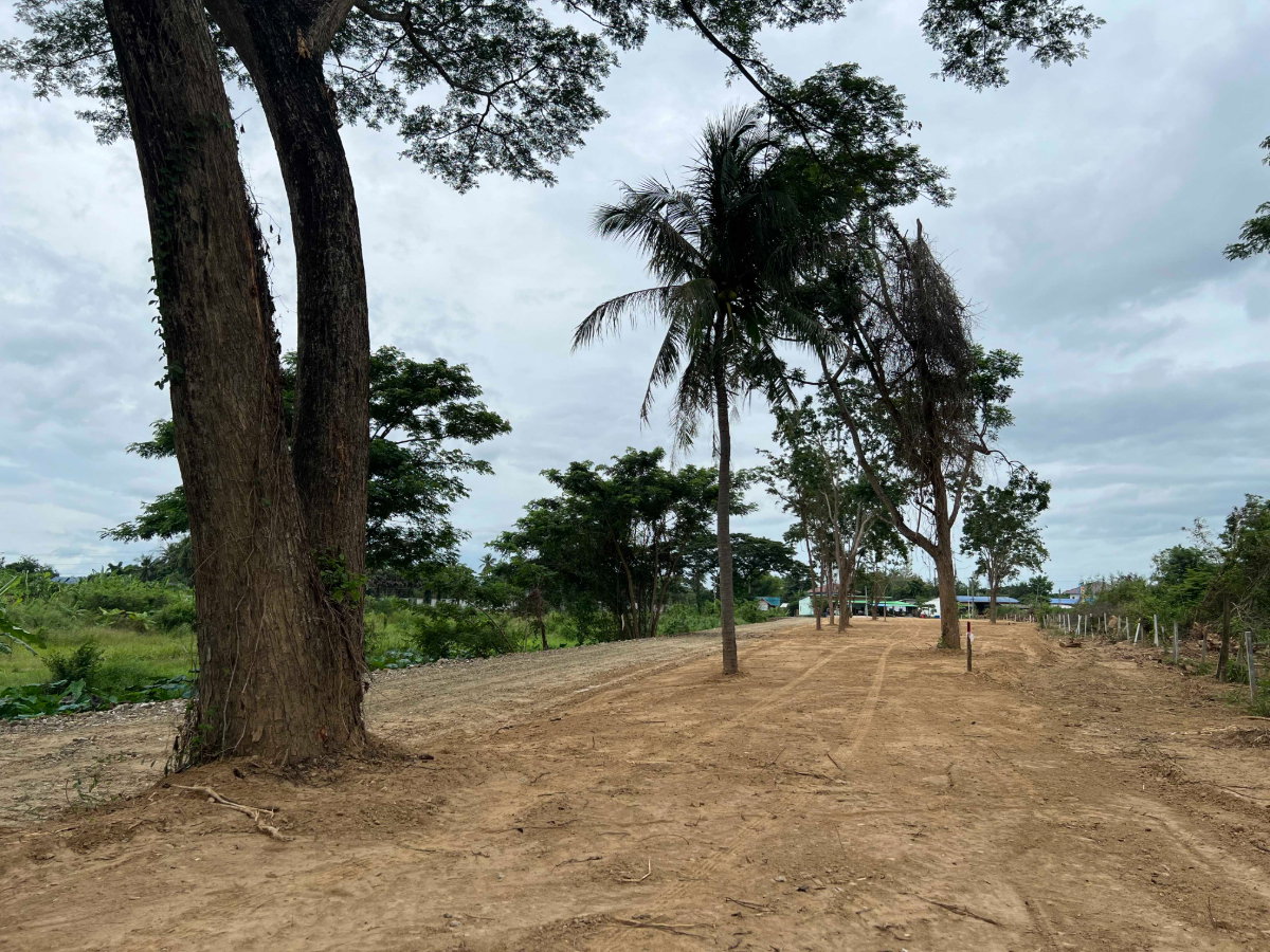 picture Prime Land for Sale in Tha Yang – Ready for Development! Size: 3-2-22 Rai - 8/12