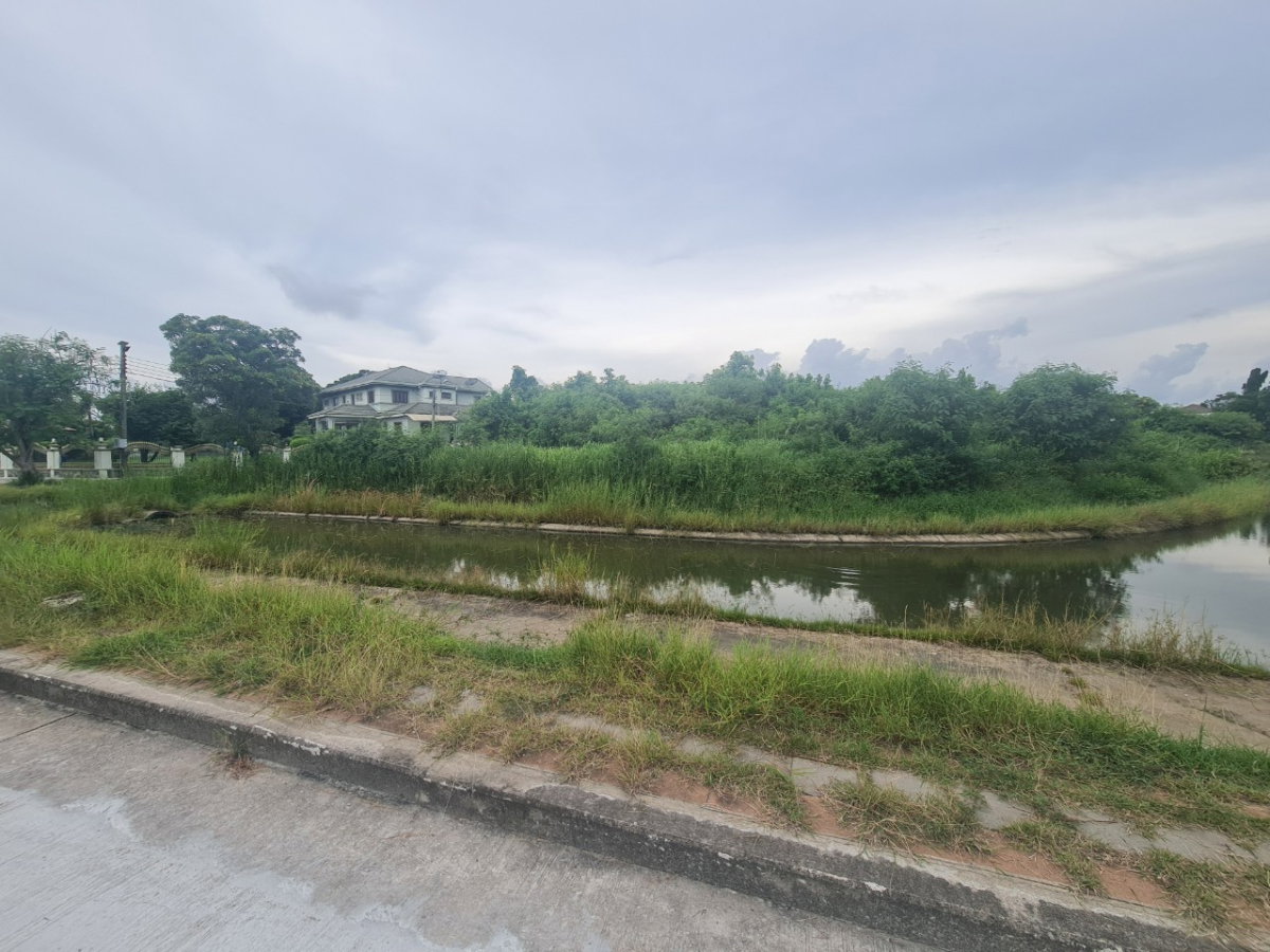 รูป ที่ดินติดน้ำ 2 ด้าน “ถูกมาก! 131.9 ตร.ว. วิวคลอง + วิวทะเลสาบ แค่ 2.2 ล้าน คุ้มที่สุดในโครงการ - รูปที่ 6/10